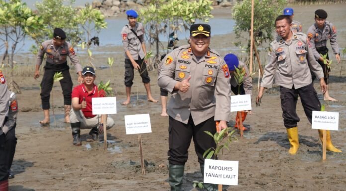 Penghijauan Polres Tanah Laut, Tanam Mangrove dalam Rangka Hari Ulang Tahun Ke-72 Humas Polri Tahun 2023.