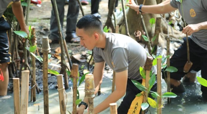 Taruna Bhayangkara Hijaukan Negeri Lewat Aksi Penanaman 100 Pohon Bakau di Jakarta Utara